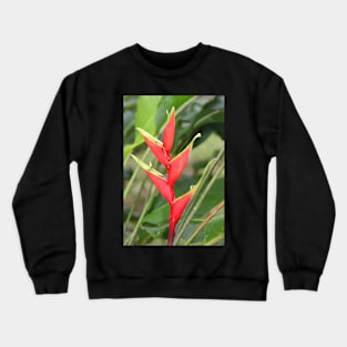 An Exotic Heliconia Crewneck Sweatshirt